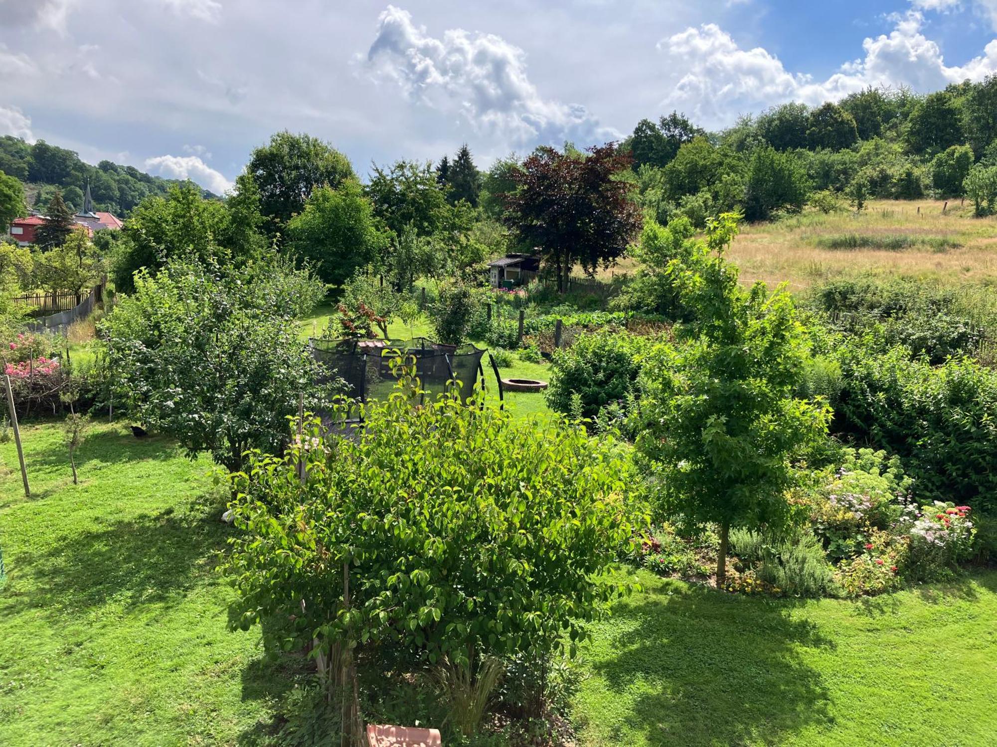 Apartment Iflands Hof Brehme