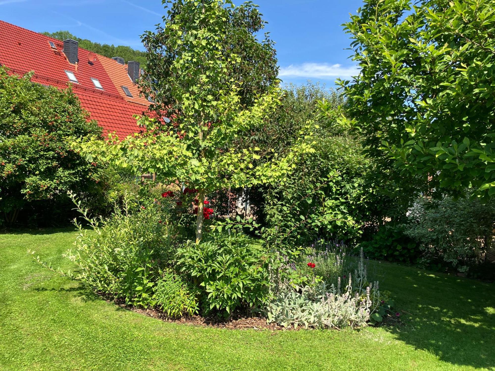Iflands Hof *